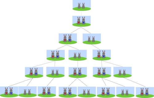 Bài toán con thỏ của dãy số Fibonacci