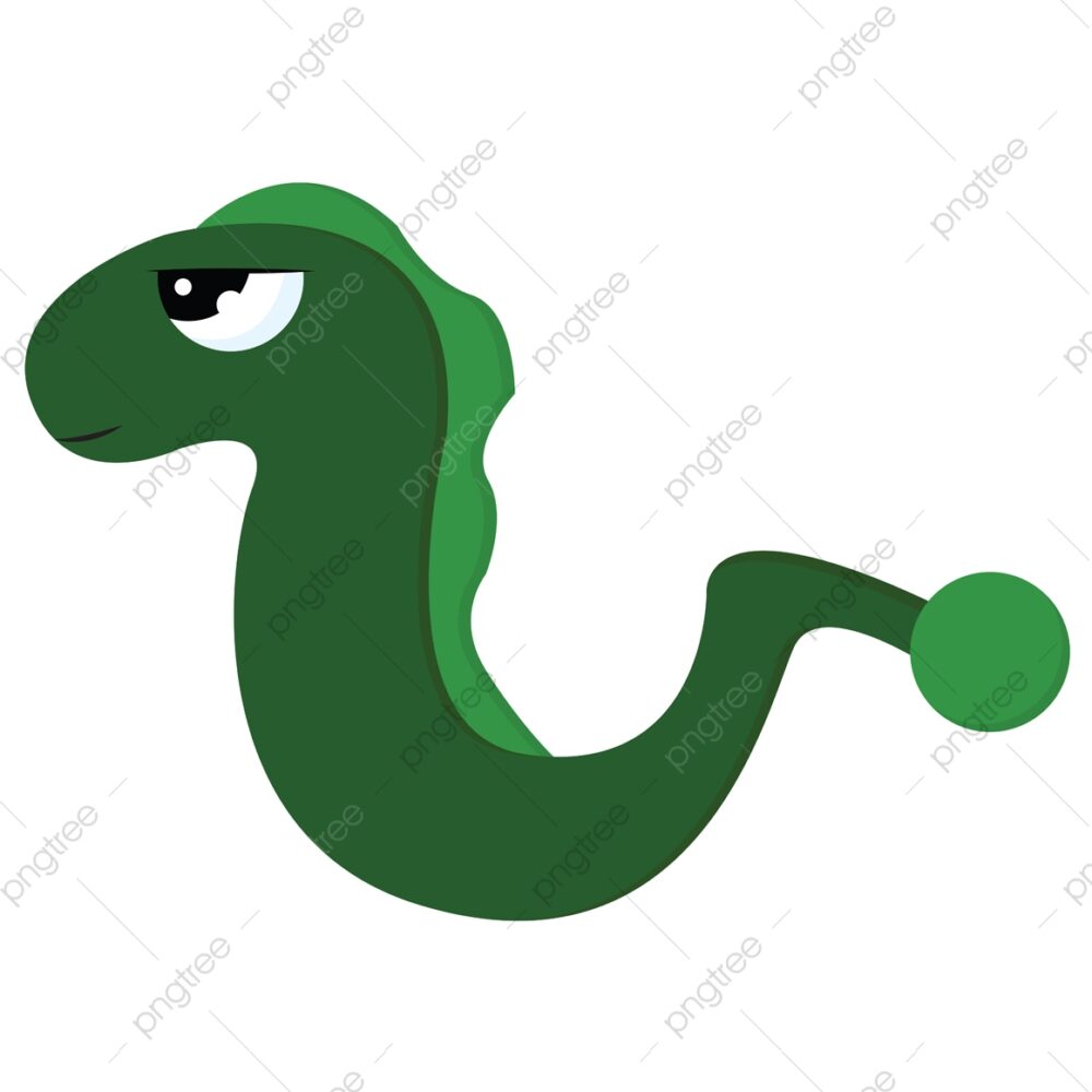 Trần Nguyễn Nam Bình