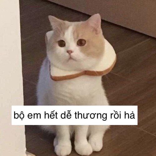 Nguyễn Thị Diệu Huyền