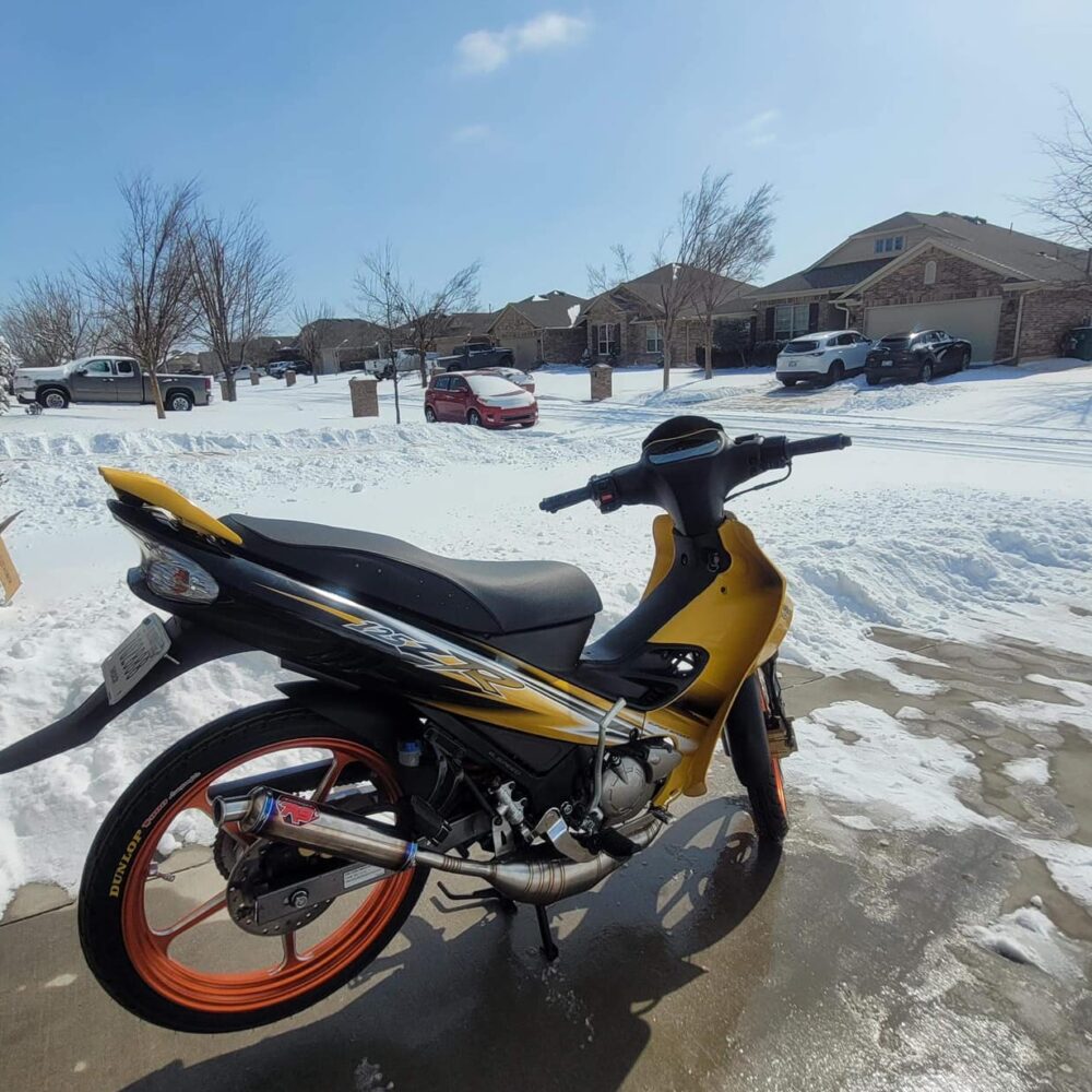 Nguyễn Xuân Trường