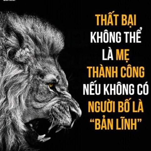 Cao Ngọc Đỉnh