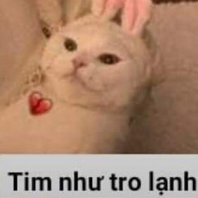 Vũ Trọng Nhân